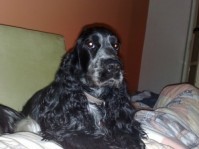 /album/fotogalerie/fota-mobil-7-6-2009-052-jpg/